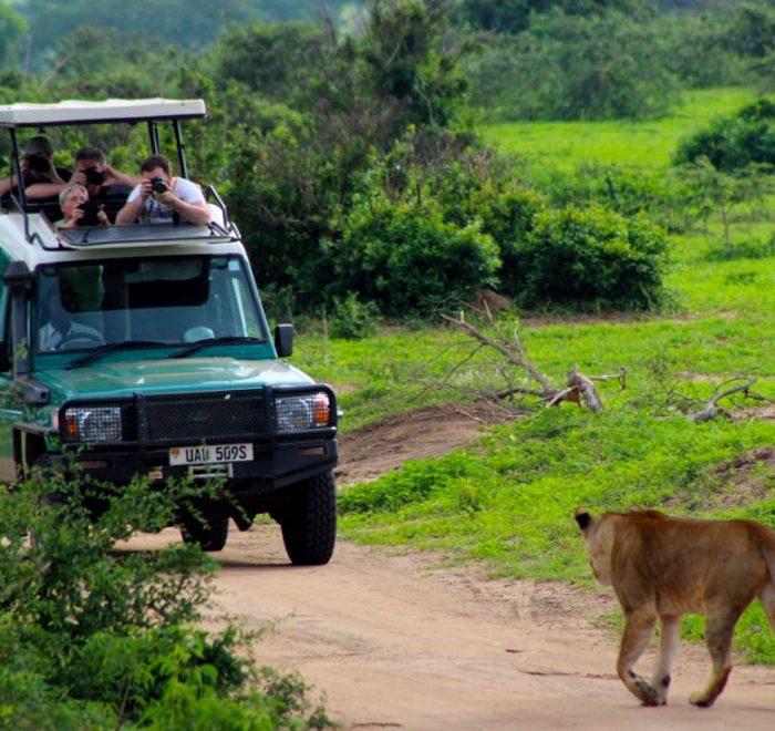 10-days-uganda-gorilla-chimps-and-wildlife